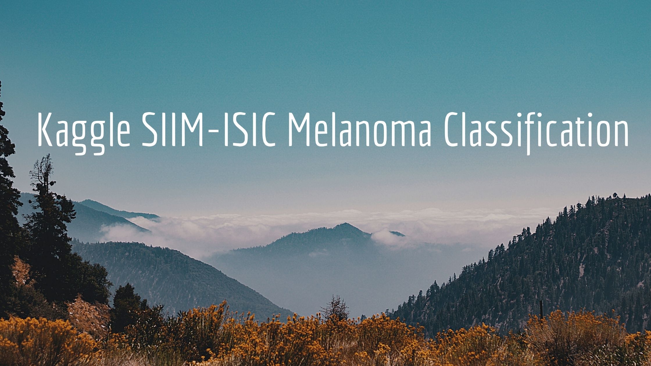 סיכום תחרות Kaggle SIIM-ISIC Melanoma Classification (קבוצת MelANOVA)