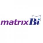 matrix bi