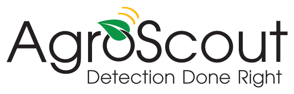 Senior Deep-Learning Computer-Vision and Algorithms Engineer